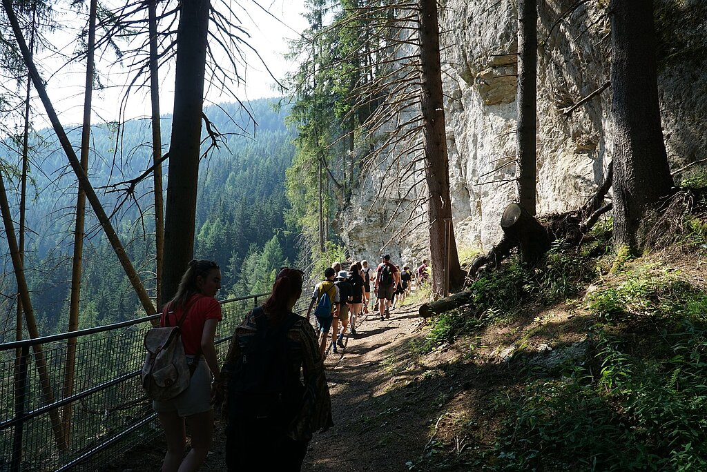 Einige junge Menschen auf einem Wanderweg, von schräg hinten fotografiert. Rechts vereinzelte Bäume und eine schroffe Bergseite, links ein Tal mit Nadelbäumen.