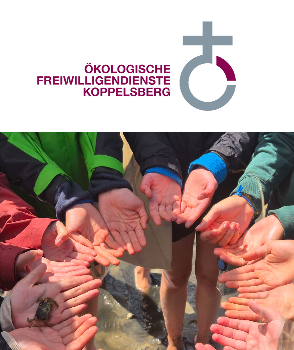 Logo mit Foto von Händen mit einem krabbelnden Krebs